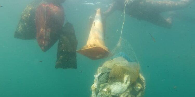 Mascarillas y guantes ensucian el lecho del mar Mediterráneo