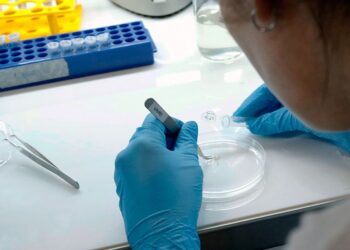 Coronavirus pasó de un animal a un humano entre octubre y diciembre: estudio