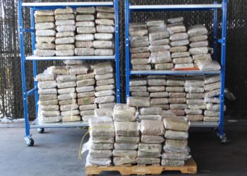 Dos golpes al narco en Laredo, Texas: confiscan dinero y marihuana