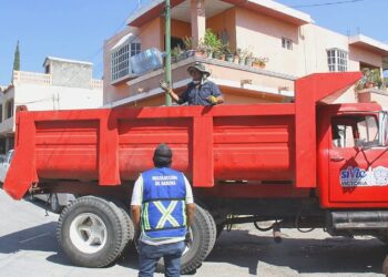 Se recogen más de 600 toneladas de descacharre en Victoria.