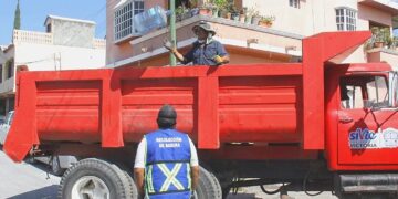 Se recogen más de 600 toneladas de descacharre en Victoria.