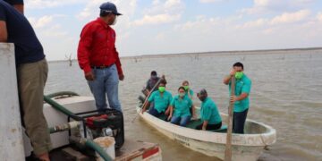 Impulsan producción de tilapia en la Presa Falcón 