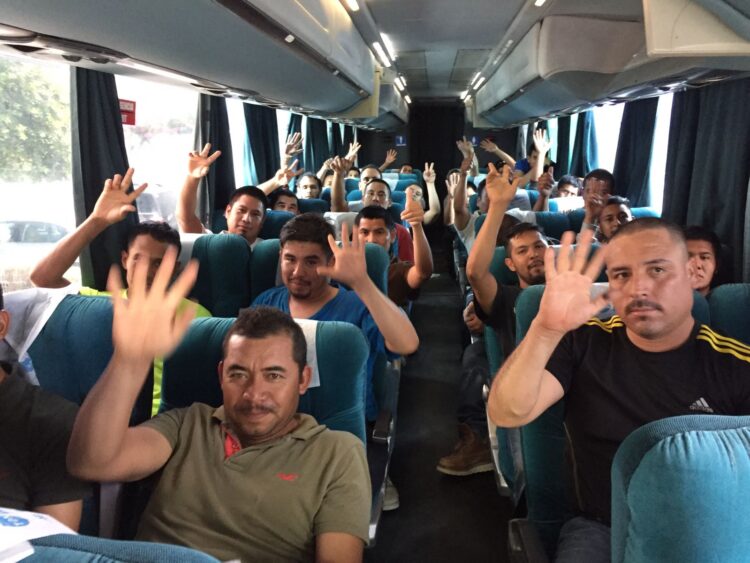 EU regresará de inmediato a indocumentados arrestados