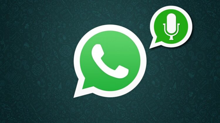 ¿Como escuchar tus audios en Whatsapp antes de enviarlos?