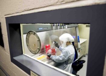 Desarrollan anticuerpo efectivo contra Covid-19 en San Diego