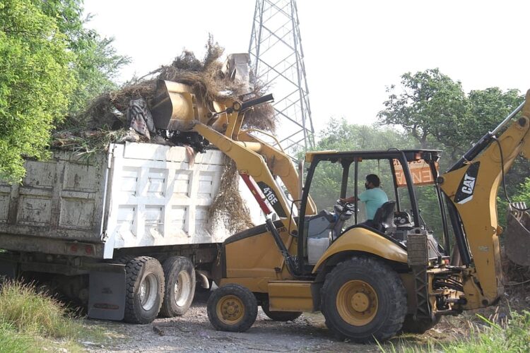 Limpian basureros clandestinos en Col. Lucio Blanco de Victoria