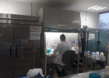 Registra Tamaulipas 8 nuevos casos de COVID-19, suman 997