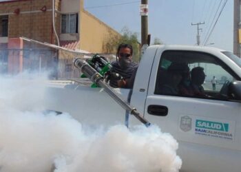 Fumigar calles o mercados no sirve y pone en riesgo la salud: OMS