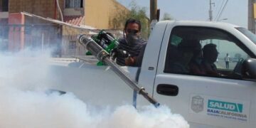 Fumigar calles o mercados no sirve y pone en riesgo la salud: OMS