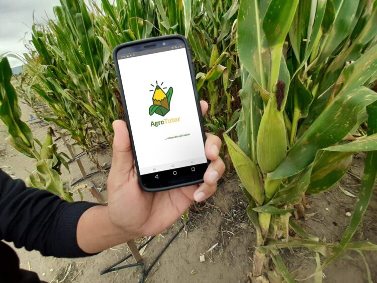 Otorgan a México reconocimiento por sistema sustentable en producción de maíz