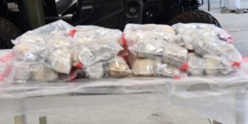 Incautan carga de metanfetamina por 25. mdd
