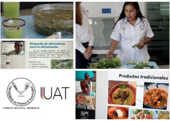 Fomentan consumo de la verdolaga como alternativa alimenticia