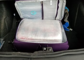 Agentes de la Patrulla Fronteriza incautaron marihuana en Checkpoint