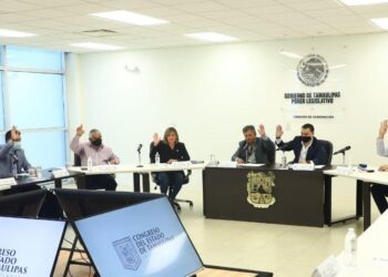 Demandan a CFE evitar cortes y condonar o ajustar tarifas por COVID-19