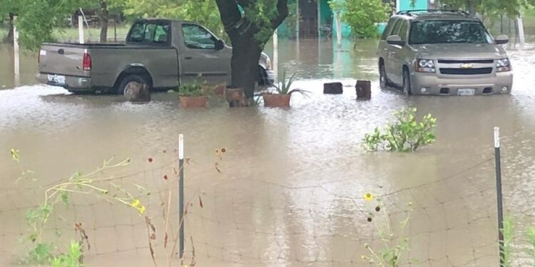 Fuertes lluvias y vientos frenan trillas de sorgo y maíz en Tamaulipas