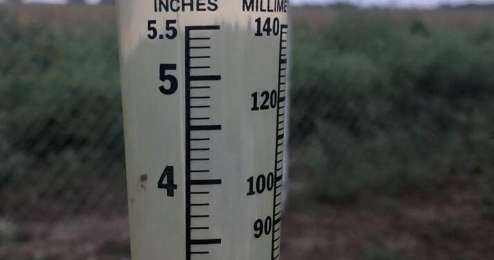 Fuertes lluvias y vientos frenan trillas de sorgo y maíz en Tamaulipas