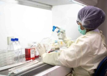 Estudios en monos revelan que sí hay inmunidad tras infección de Covid-19