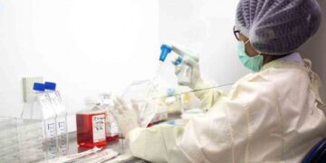 Estudios en monos revelan que sí hay inmunidad tras infección de Covid-19