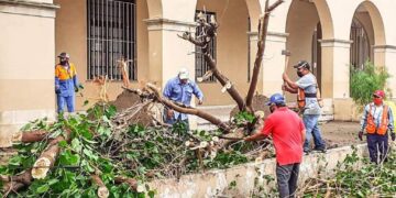 Retiran más de 300 árboles y ramas caídos en vivienda en N. Laredo
