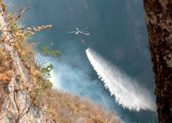 Se reportan 55 incendios forestales en el país