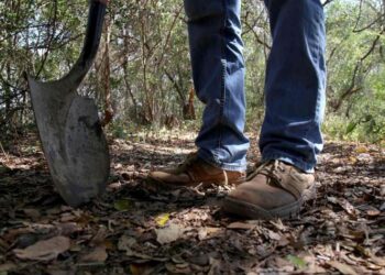 Colectivo halla 9 cuerpos en fosa clandestina en Nayarit