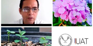 Recomiendan expertos ayudar a la naturaleza durante el confinamiento