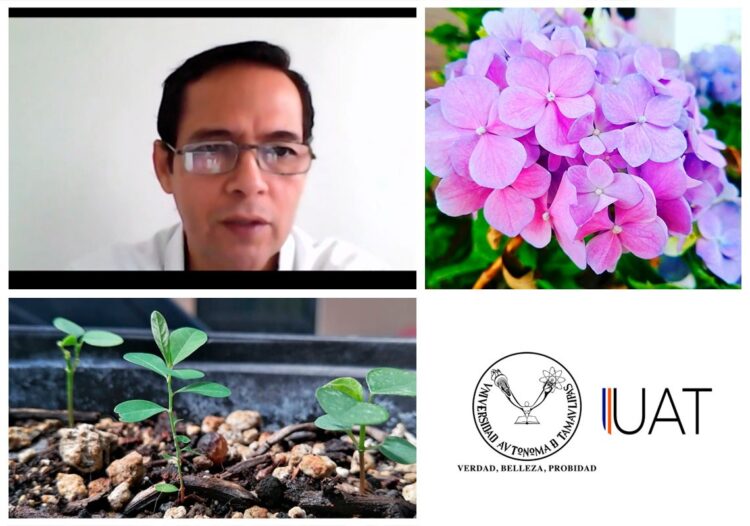 Recomiendan expertos ayudar a la naturaleza durante el confinamiento