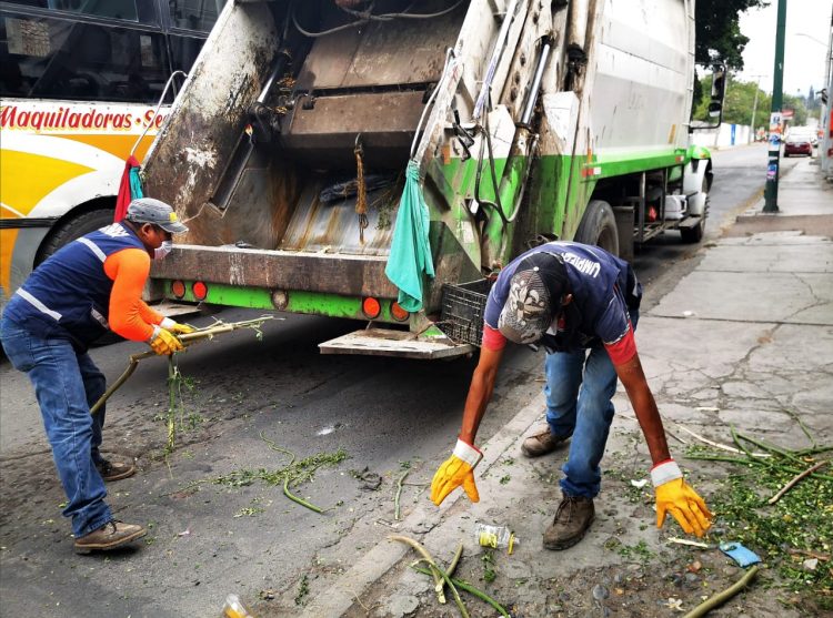 Nuevos horarios de recolección de basura en 16 colonias de Victoria.
