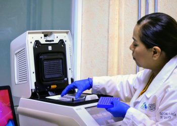 Rebasa Tamaulipas 600 casos de Coronavirus