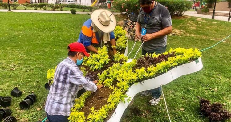 Dan “Empleo Emergente” a 150 neolaredenses