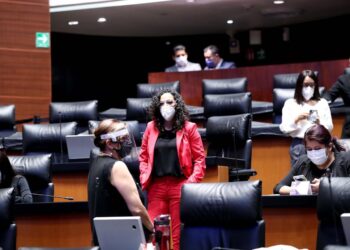 Emergencia Sanitaria y Reactivación Económica, prioridades de Comisión Permanente : Sosa