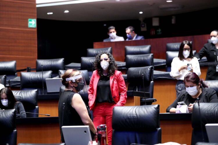 Emergencia Sanitaria y Reactivación Económica, prioridades de Comisión Permanente : Sosa