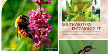 Colabora UAT en el conocimiento de la diversidad de insectos en México