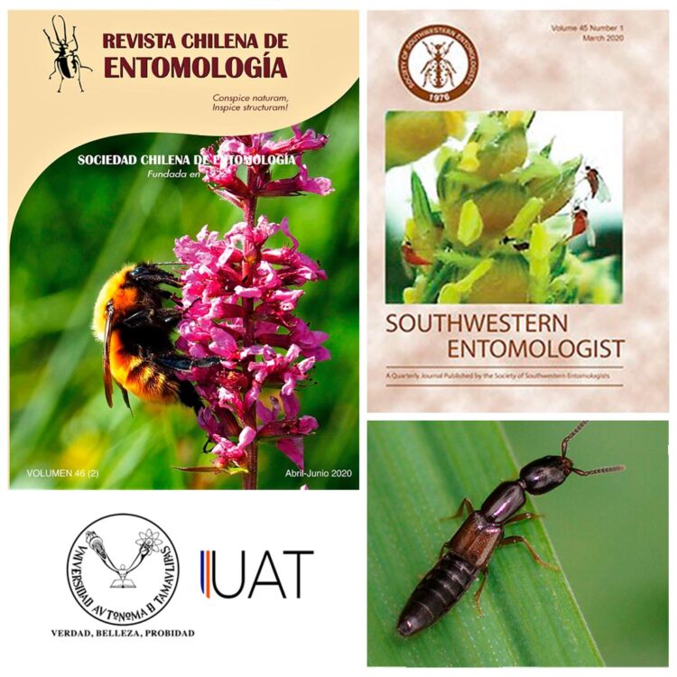 Colabora UAT en el conocimiento de la diversidad de insectos en México