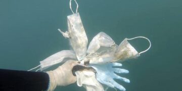 Mascarillas y guantes ensucian el lecho del mar Mediterráneo