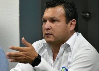 Se preparan autoridades para posible llegada del avispón asiático