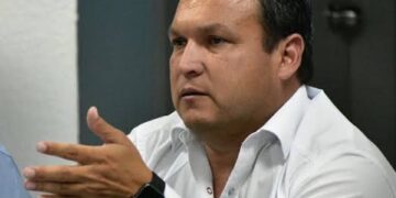 Se preparan autoridades para posible llegada del avispón asiático