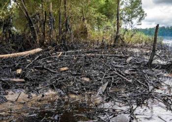 Derrame de crudo en Amazonia deja a miles de indígenas sin agua ni comida