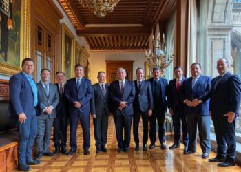 GOAN analizará la constitucionalidad del decreto sobre Fuerzas Armadas