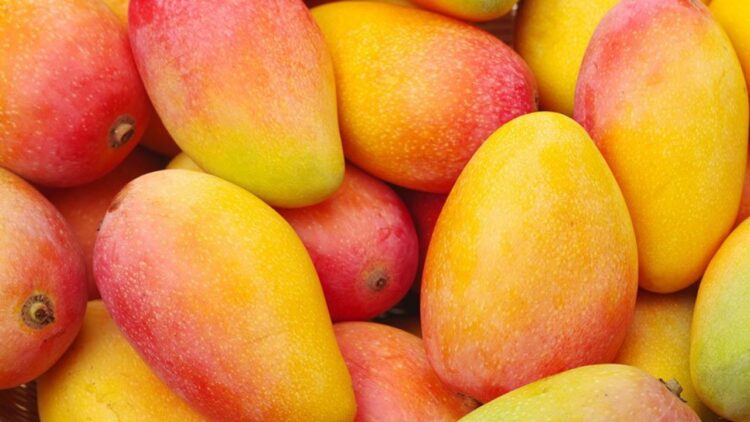 Beneficios del mango