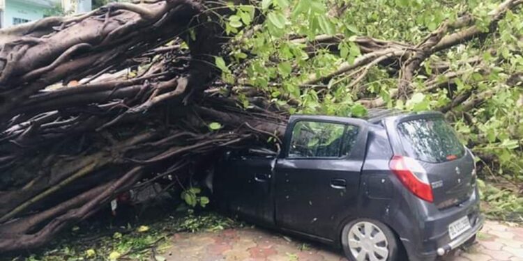 Suman 84 muertos tras paso de devastador ciclón por Bangladesh e India