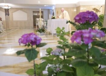 El Papa honra a enfermeras y pide dignificar su trabajo