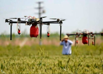 Innovaciones que revolucionan la Agricultura