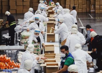 Expo Guadalajara se transforma en banco de alimentos “Jalisco sin hambre” por COVID-19