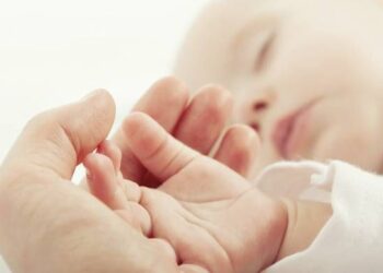 ¿Como funciona el instinto maternal?