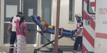 Motociclista arrolla a perro y se lesiona al caer