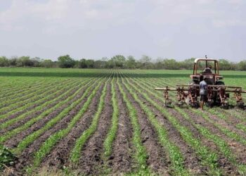 Reprueba PRI recortes al presupuesto del campo en México