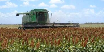 Sorqueros bloquerán carreteras y puentes en Tamaulipas por falta de precio de garantía