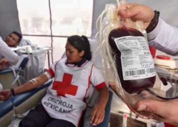 ‘México vive crisis en donación de sangre’: Cruz Roja Mexicana