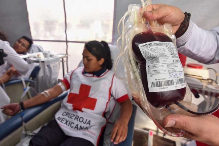 ‘México vive crisis en donación de sangre’: Cruz Roja Mexicana